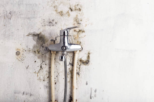 Best Water Damage Restoration  in Woodstock, VA