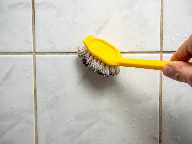 Best Mold Removal Company Near Me  in Woodstock, VA
