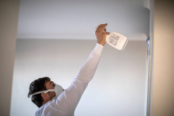 Best Office Mold Removal Services  in Woodstock, VA