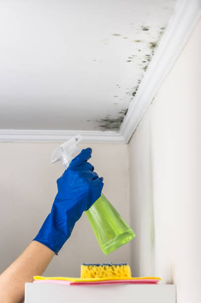 Water Damage Restoration in Woodstock, VA